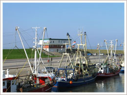 Kutterhafen Nordsee