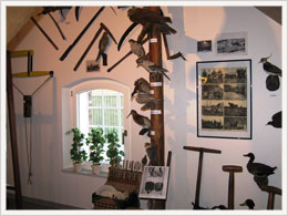 Seniorenurlaub Museum