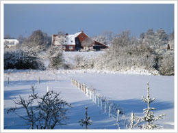 Winter Ferienhaus